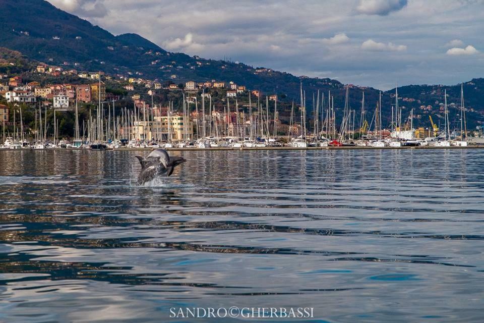 Number40Laspezia ลาสเปเซีย ภายนอก รูปภาพ